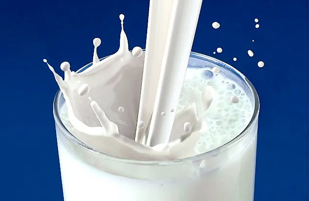 Susu Rendah Laktosa dan Kandungan Nutrisinya yang Tinggi